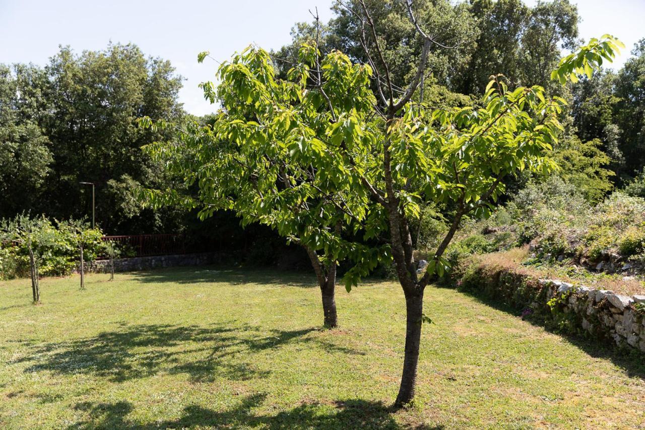 Holiday House Hana Ровин Екстериор снимка